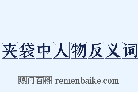 夹袋中人物反义词是什么意思的图片